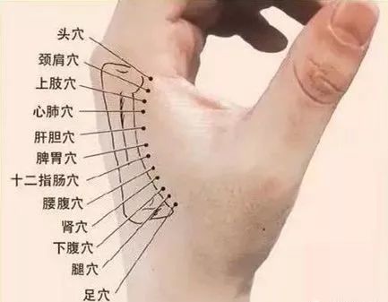这块骨头硬的人,一般寿命都比较长,为什么?