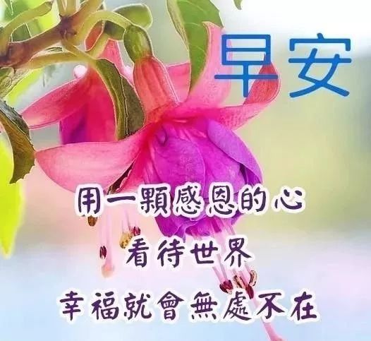 春天下雨天早上好动图表情包图片带字 春天早安问候祝福语图片大全动