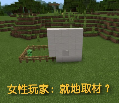 我的世界当遇到一只被囚禁的苦力怕女玩家乐了高阶玩家神操作