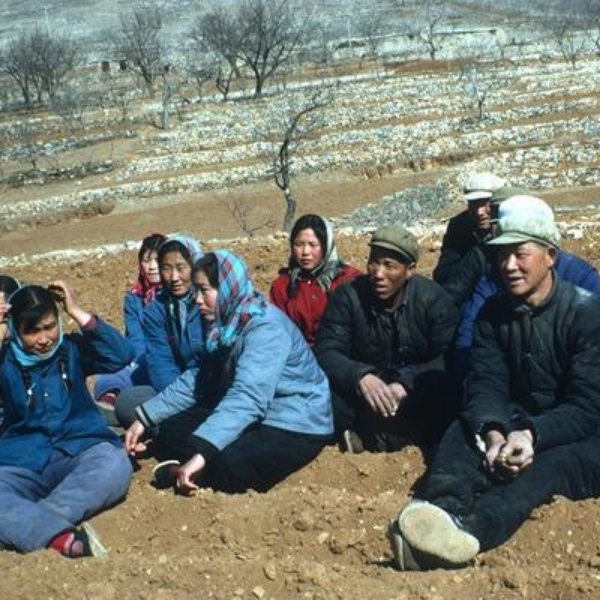 1972年的遵化,罕见生活老照片,这才是72年的遵化