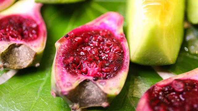 仙人掌结的果实是可以吃的,一般有这3种方法食用,快来学习一下