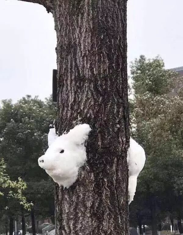 沙雕网友教你堆雪人!