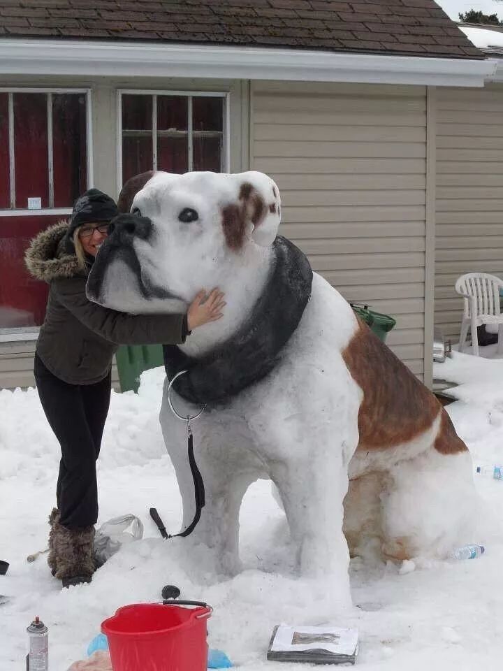 沙雕网友教你堆雪人