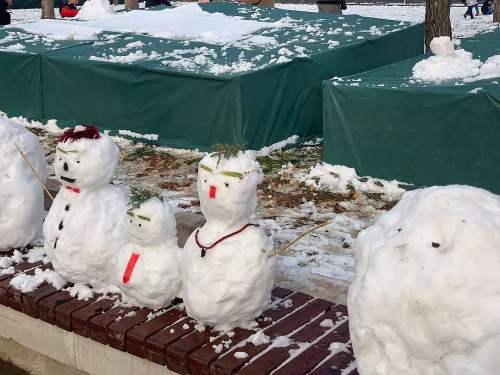 沙雕网友教你堆雪人