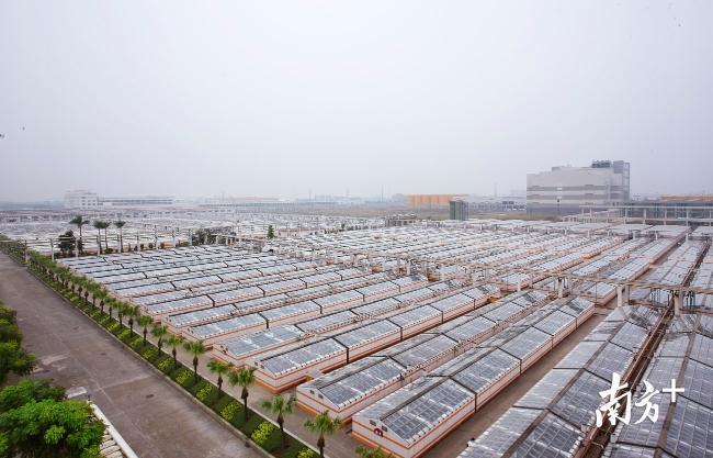 海天调味董事长黄文彪:深化管理与创新,以更高发展质量迈上新台阶