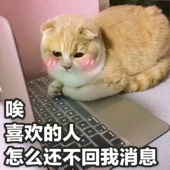 用这组表情包,就可以撩到喜欢的人哦