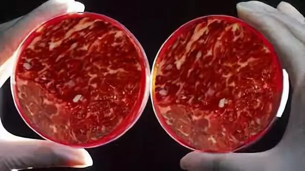 3d打印肉出现了!我的3d打印男朋友是不是也不远了