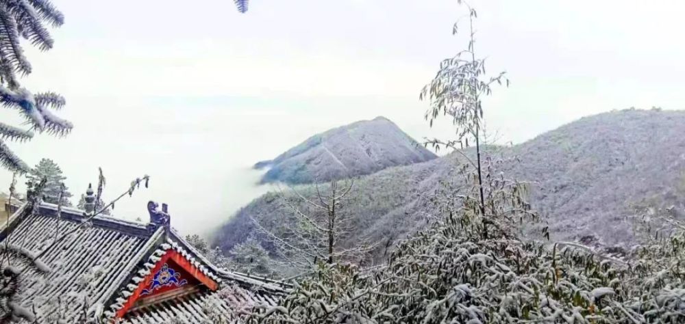 昨夜来自仙人台的这场雪,惊艳了蕲春人的冬天