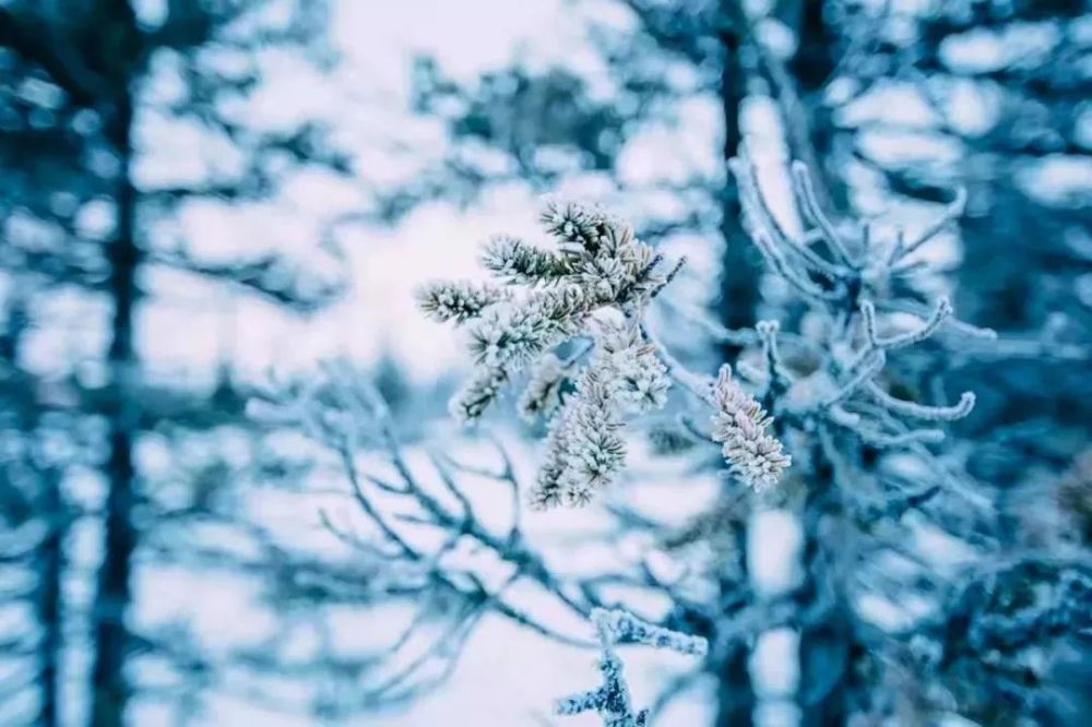 最诗意的雪