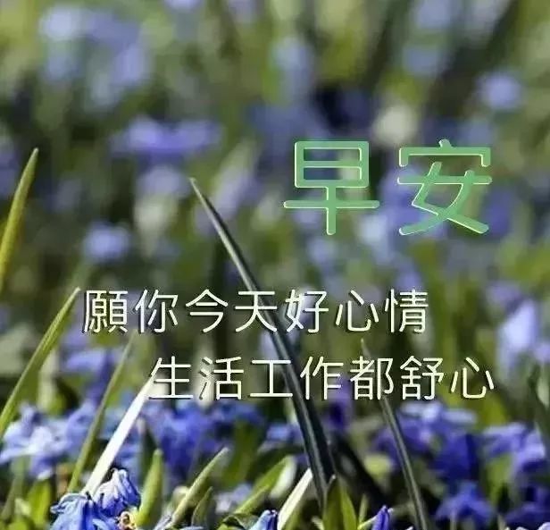 清晨暖心的阳光早上好祝福语 早晨好漂亮的清新图片