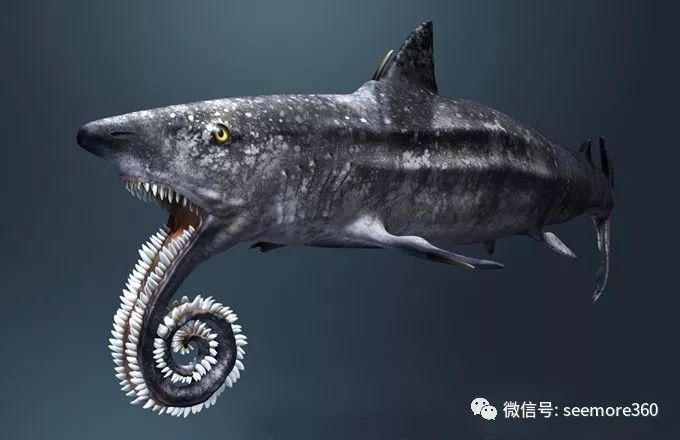 史前最奇特的"鲨鱼",牙齿如圆锯,科学家花100年才搞明白!
