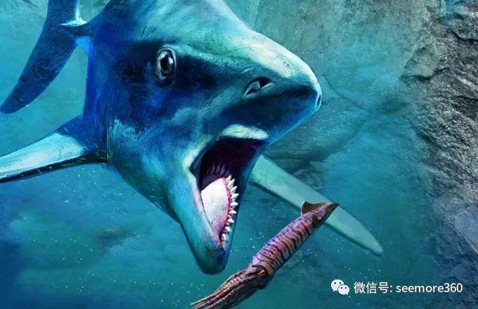 史前最奇特的"鲨鱼",牙齿如圆锯,科学家花100年才搞明白!