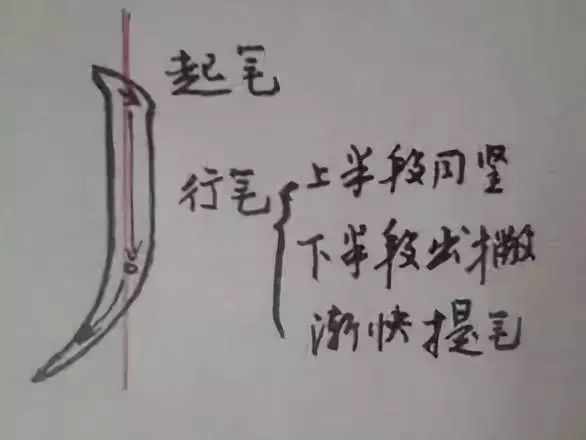 书法入门:怎样教孩子学好基本笔画