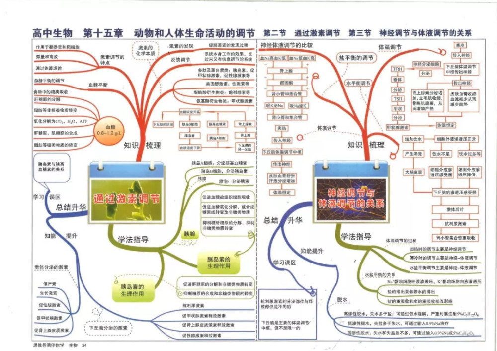 纯干货:45张思维导图,划出了高中生物所有重点
