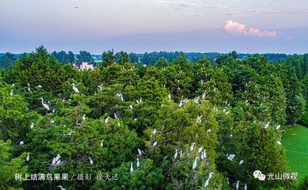 光山县目前拥有国家"aaaa"级旅游景区1家(大苏山国家森林公园景区)