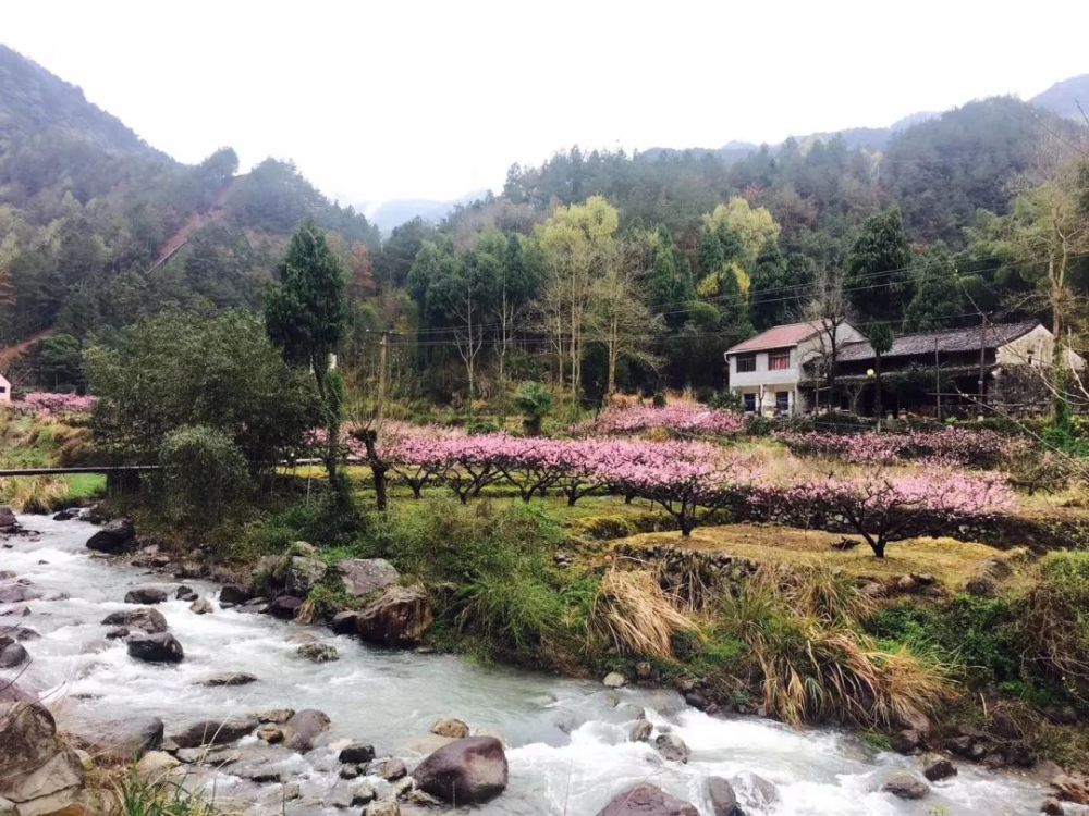 黄沙溪南起大雷山,是白水洋镇永安溪支流,河宽20-25米不等,河床纵坡