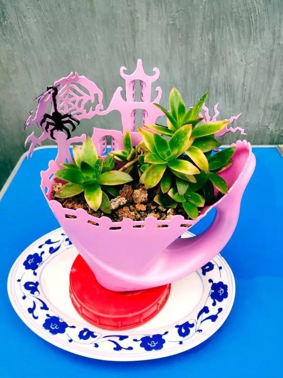 花友们太厉害了,变"废"为"宝",自己做花盆,个个是旧物