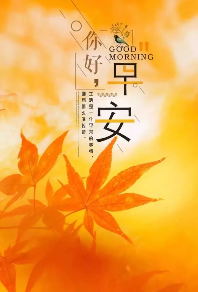 早安说说简短唯美句子图片,简短一句话早安心语正能量