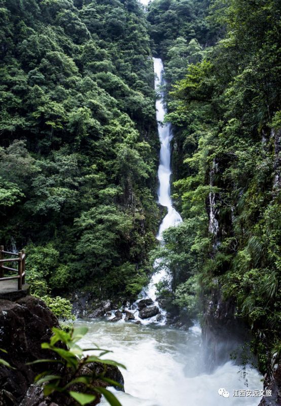 三百山的旅游景点[三百山旅游景点门票多少钱]