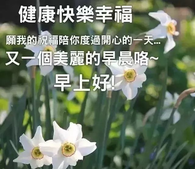 11月27日星期六早上好最新版祝福漂亮图片带字,清晨早上好祝福语