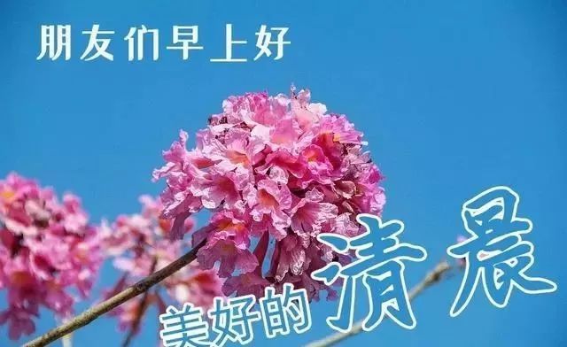 11月27日星期六早上好最新版祝福漂亮图片带字清晨早上好祝福语