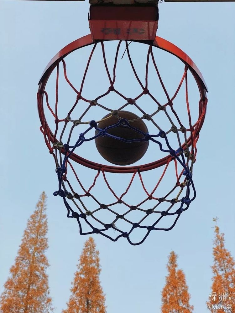 篮球空心入网的前一刻 忽然想起在这里的时光