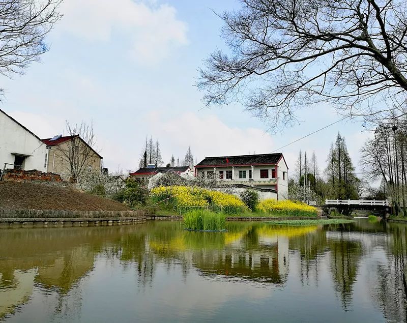 洲泉镇马鸣村