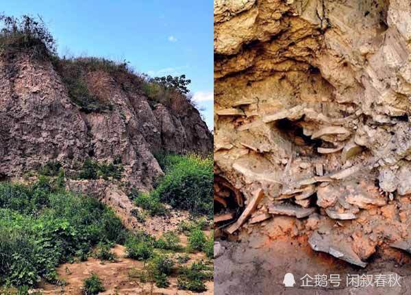 不过,姬囏确实也不甘心就这样庸庸碌碌下去,哪怕父亲留给自己一个烂