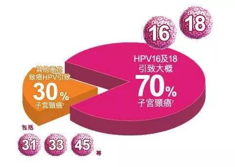 hpv与宫颈癌,那些不得不说的故事