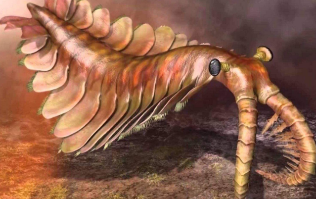 奇虾史前第一霸主地球初代顶级掠食者寒武纪海洋扛把子