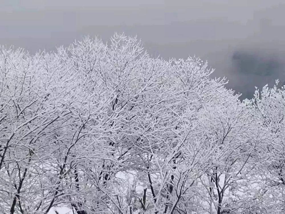 继张家界下雪之后,湖南各地纷纷加入"晒雪景群聊"