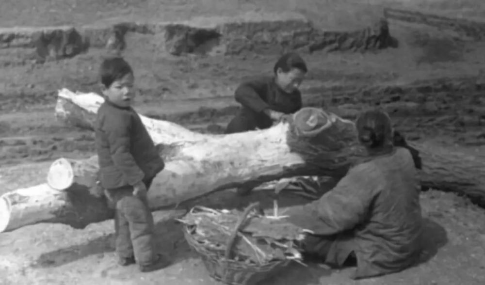 1960 年,一趟饥饿之旅