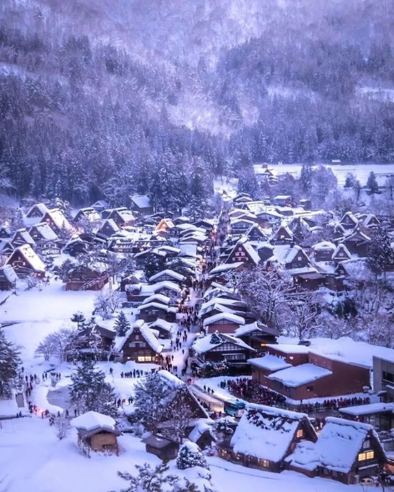 美过北海道,人少不宰客,日本雪乡有多美!