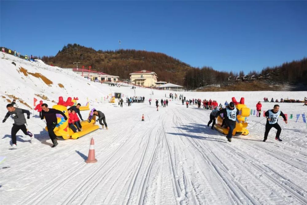 这两天,湖北人都在神农架滑雪,就差你了!