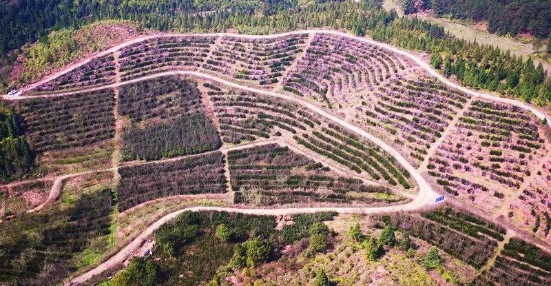 福建县域经济总量排名_福建社会治安排名(3)