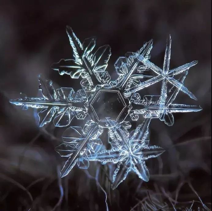 你那里下雪了吗?你遇到过什么样形状的雪花呢?