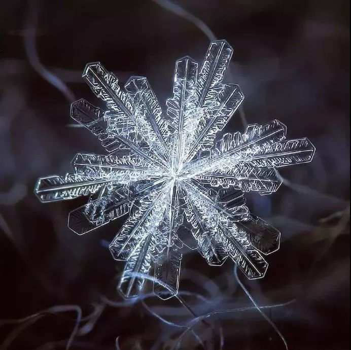 下雪的时候,没有任何两片雪花是相同的
