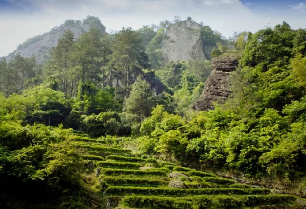 产地 时间,也是一种简单粗暴的方式 如"普洱茶"北岭茶"窝坑茶