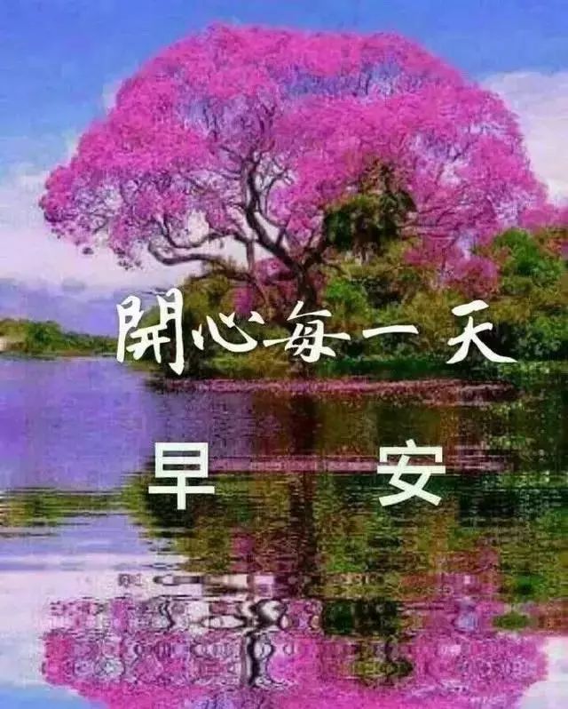 12月24日平安夜早安问候每日一祝