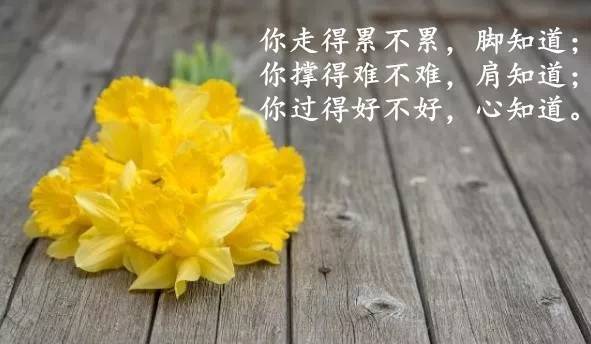 心情感悟励志语录,总有一句说进心里
