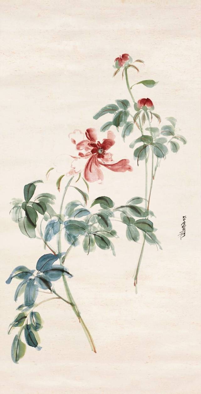 国画大家张大千先生芍药图作品欣赏