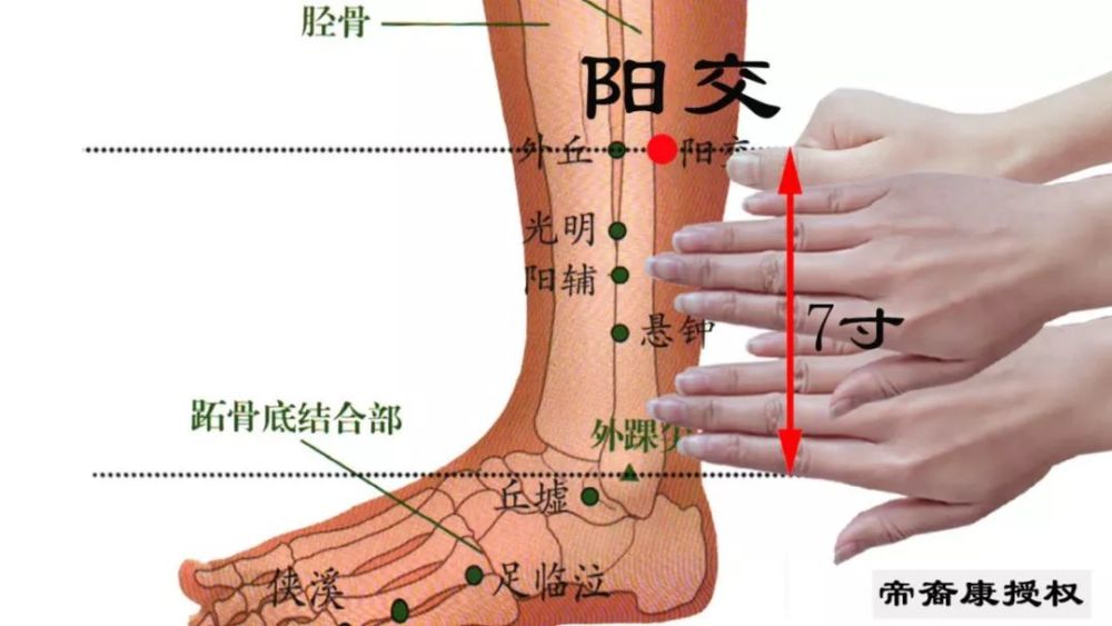 20 ,偏头痛,乳房胀痛——压抑点就在胆经和三焦经上.