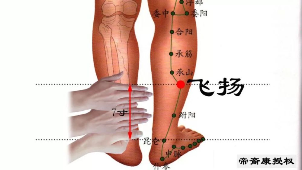 82 ,腰胀痛——不要拔罐子,会越拔越重,要揉"委阳"穴最管用.