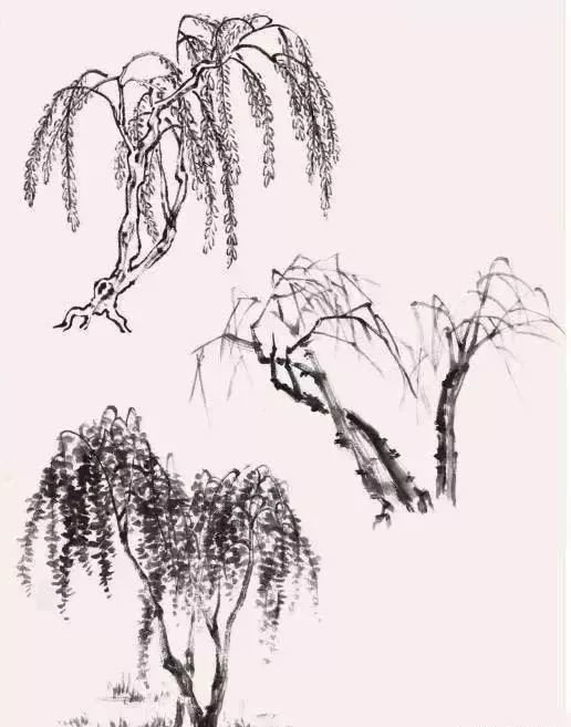 国画入门技法:柳树的画法,简单易学