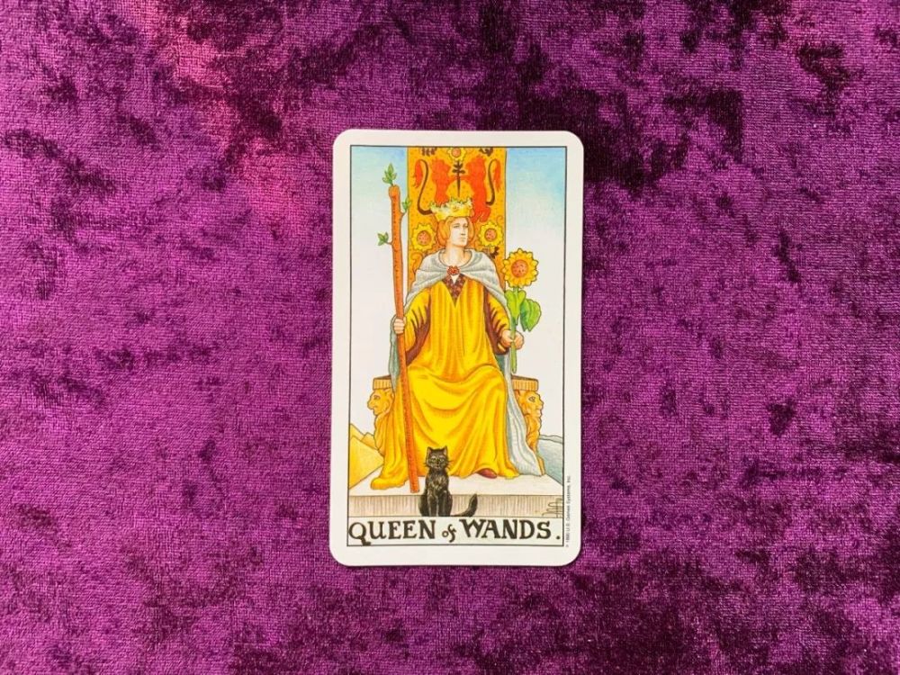 权杖皇后 腾讯网