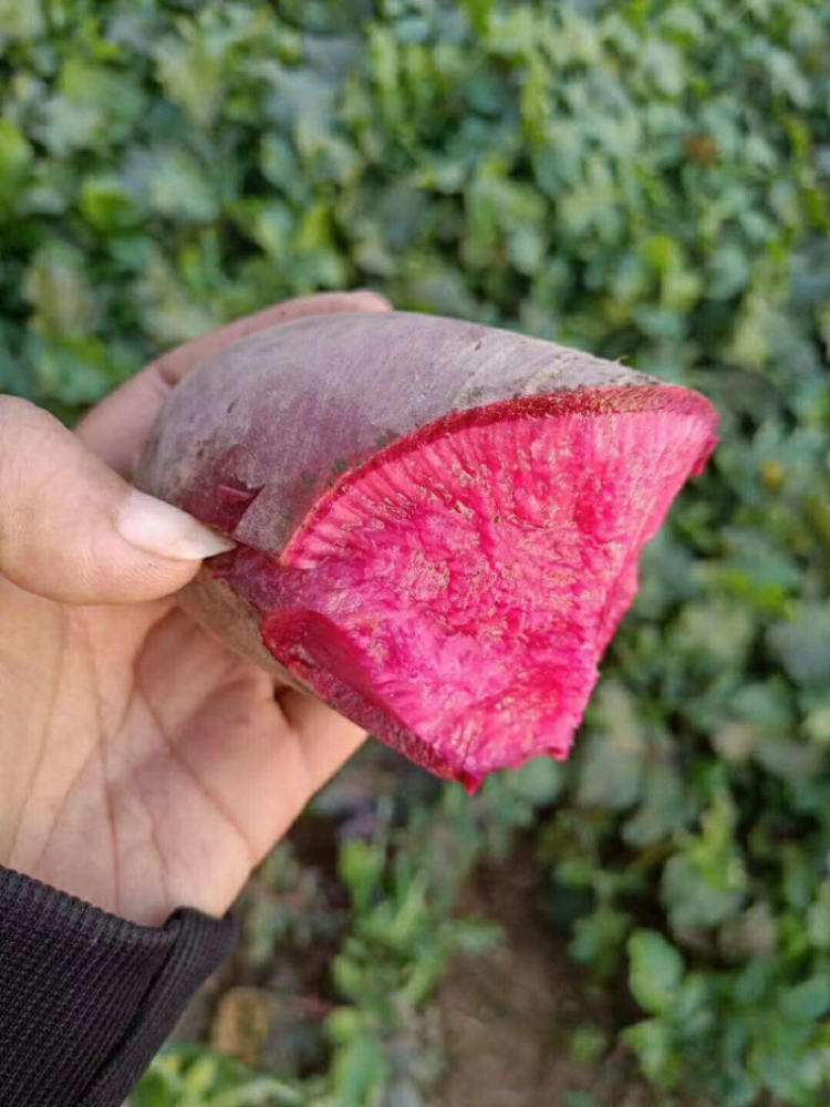 1000