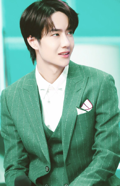 男星绿色西服:王一博可爱,肖战精致,看到刘宇宁:满屏