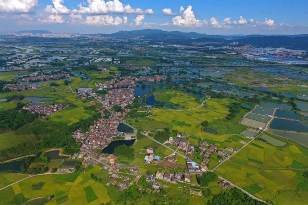 高明人口2020_高明盈香生态园(2)