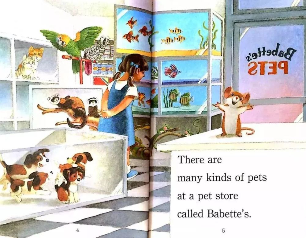 there are many kinds of pets at   pet store called babette s.