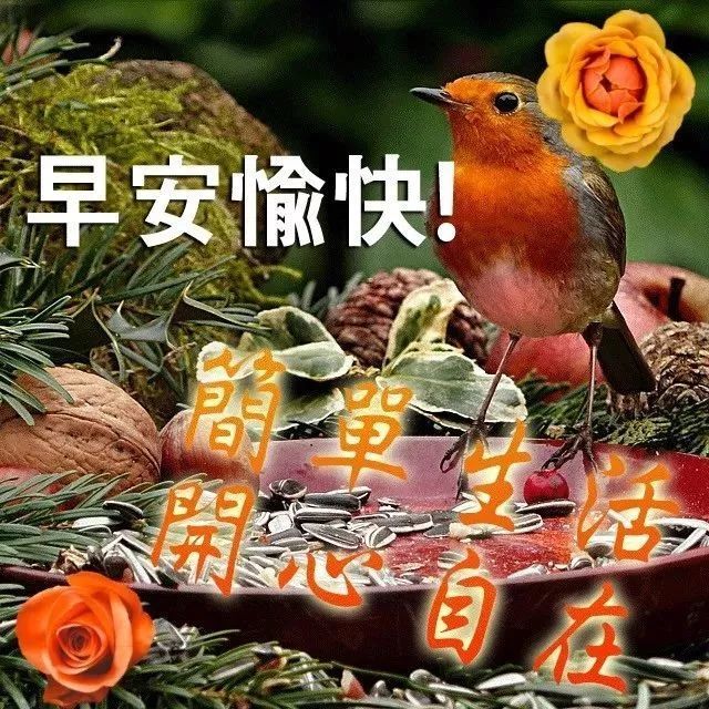 2021早上好祝福语表情表情图片微信早上好暖心语录祝福图片大全